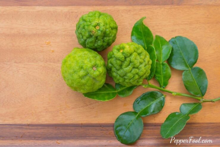 Kaffir lime leaves substitute lemon leaves