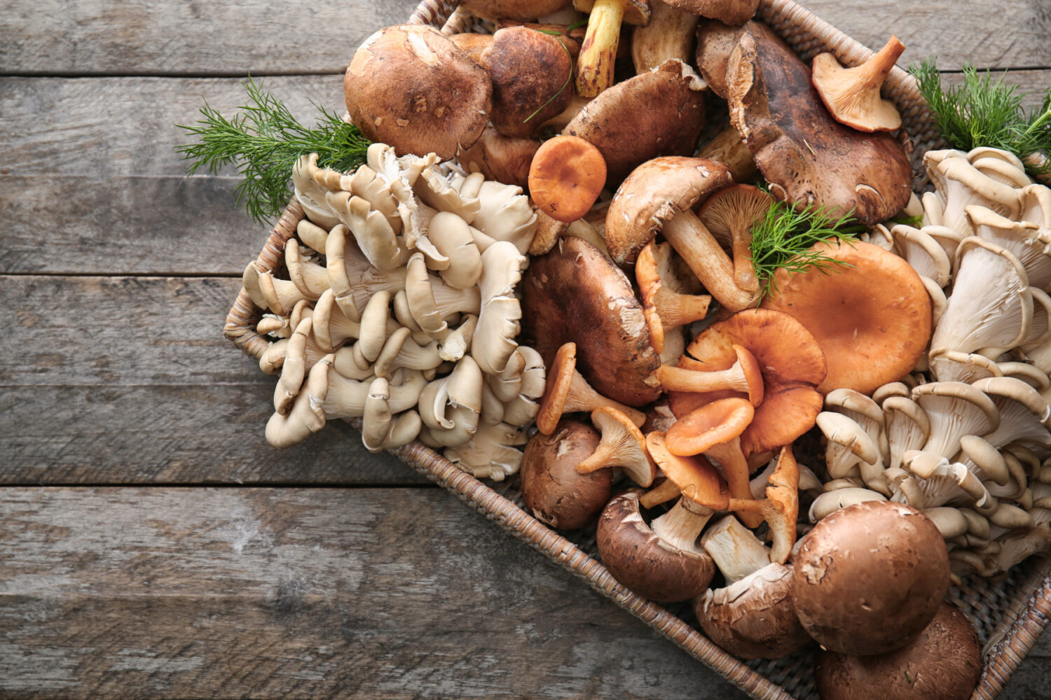 8 Best Mushroom Alternatives 2023 Complete Guide